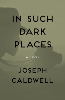 In Such Dark Places : A Novel