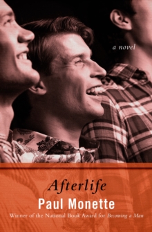 Afterlife : A Novel