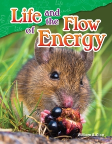 Life and the Flow of Energy