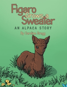 Figaro Grows a Sweater : An Alpaca Story