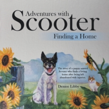 Adventures with Scooter : Finding a Home