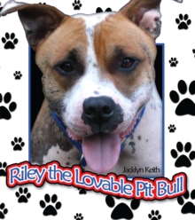 Riley the Lovable Pit Bull