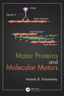 Motor Proteins and Molecular Motors