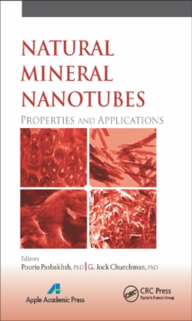 Natural Mineral Nanotubes : Properties and Applications