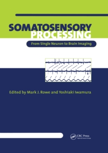 Somatosensory Processing : From Single Neuron to Brain Imaging