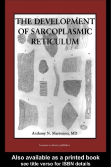 The Development of the Sarcoplasmic Reticulum