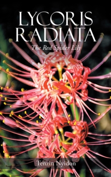 Lycoris Radiata : The Red Spider Lily