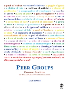 Peer Groups : Expanding Our Study Of Small Group Communication