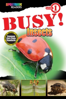 BUSY! Insects : Level 1