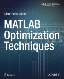 MATLAB Optimization Techniques