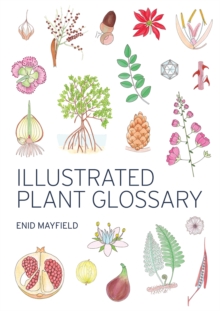 Illustrated Plant Glossary