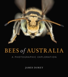 Bees of Australia : A Photographic Guide, Paperback / softback Book Bees of Australia : A Photographic Guide, Paperback / softback Book