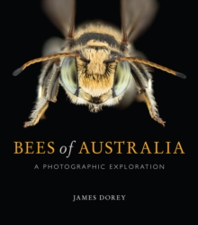 Bees of Australia : A Photographic Exploration