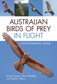 Australian Birds of Prey in Flight : A Photographic Guide