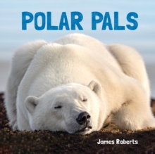 Polar Pals