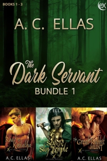 Dark Servant Bundle 1