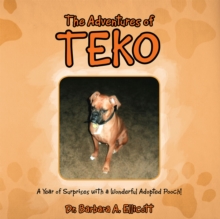 The Adventures of Teko : A Year of Surprises with a Wonderful Adopted Pooch!