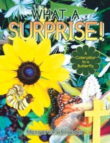 What a Surprise! : A Caterpillar to a Butterfly