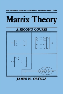 Matrix Theory: A Second Course