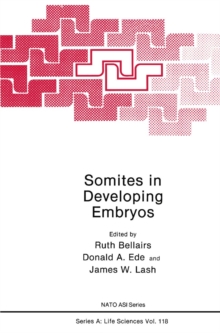 Somites in Developing Embryos