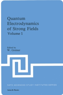 Quantum Electrodynamics of Strong Fields