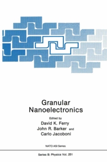 Granular Nanoelectronics