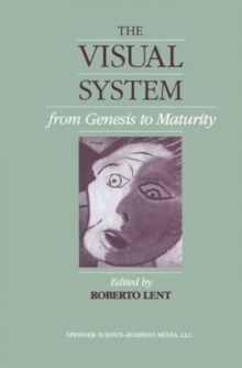 The Visual System from Genesis to Maturity