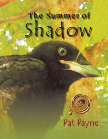 The Summer of Shadow