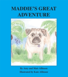 Maddie's Great Adventure