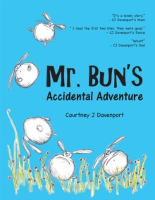 Mr. Bun's Accidental Adventure