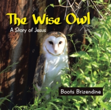 The Wise Owl : A Story of Jesus