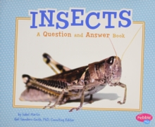 Insects : A Question and Answer Book, Paperback / softback Book Insects : A Question and Answer Book, Paperback / softback Book