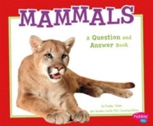 Animal Kingdom: Mammals QandA, Paperback / softback Book Animal Kingdom: Mammals QandA, Paperback / softback Book