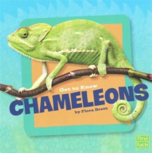 Get to Know Chameleons, Paperback / softback Book Get to Know Chameleons, Paperback / softback Book