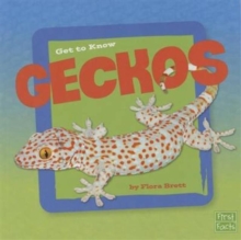 Get to Know Geckos, Paperback / softback Book Get to Know Geckos, Paperback / softback Book