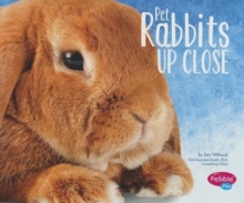 Pet Rabbits Up Close, Paperback / softback Book Pet Rabbits Up Close, Paperback / softback Book