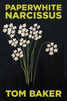 Paperwhite Narcissus