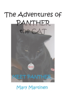 The Adventures of Panther the Cat : Meet Panther