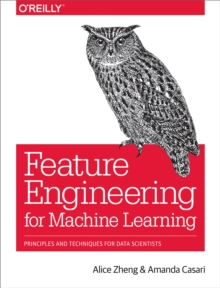 Feature Engineering for Machine Learning : Principles and Techniques for Data Scientists