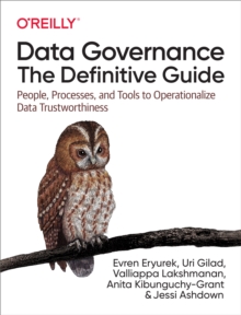 Data Governance: The Definitive Guide