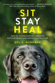 Sit Stay Heal : How an Underachieving Labrador Won Our Hearts and Brought Us Together