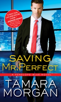 Saving Mr. Perfect