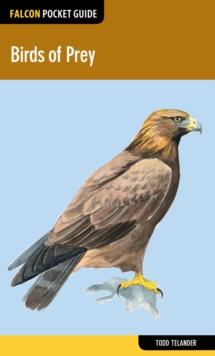 Birds of Prey, Paperback / softback Book Birds of Prey, Paperback / softback Book