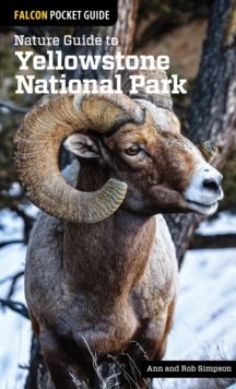 Nature Guide to Yellowstone National Park, Paperback / softback Book Nature Guide to Yellowstone National Park, Paperback / softback Book