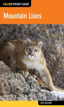 Mountain Lions, Paperback / softback Book Mountain Lions, Paperback / softback Book