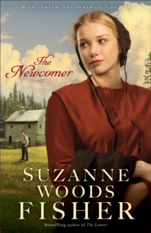 The Newcomer (Amish Beginnings Book #2)