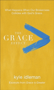 The Grace Effect : What Happens When Our Brokenness Collides with God's Grace