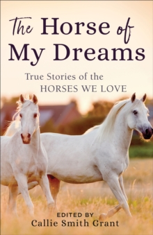 The Horse of My Dreams : True Stories of the Horses We Love