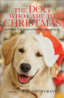 The Dog Who Came to Christmas : And Other True Stories of the Gifts Dogs Bring Us