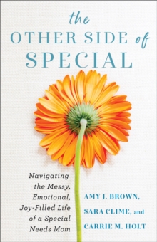 The Other Side of Special : Navigating the Messy, Emotional, Joy-Filled Life of a Special Needs Mom